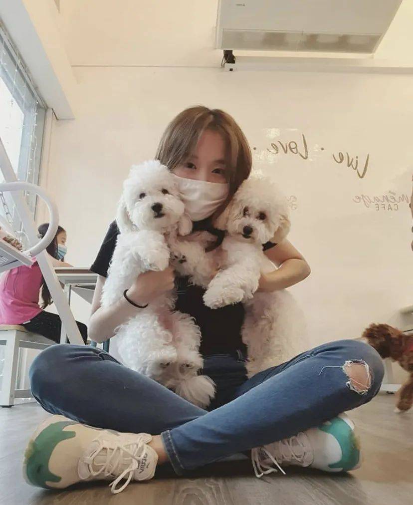 治愈系的它看一眼就愛不釋手！新加坡撸貓撸狗地圖來咯