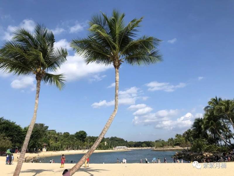 新加坡，一个让人无限回味的花园城市(2)