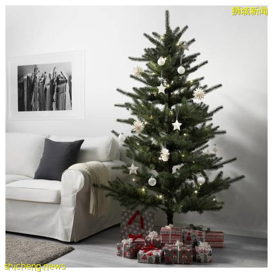 迎接溫暖聖誕季~新加坡這10個地方可以買到聖誕樹,快布置起來