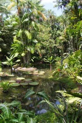 饭都不做的新加坡人靠什么“续命”?揭开真相后,羡慕了