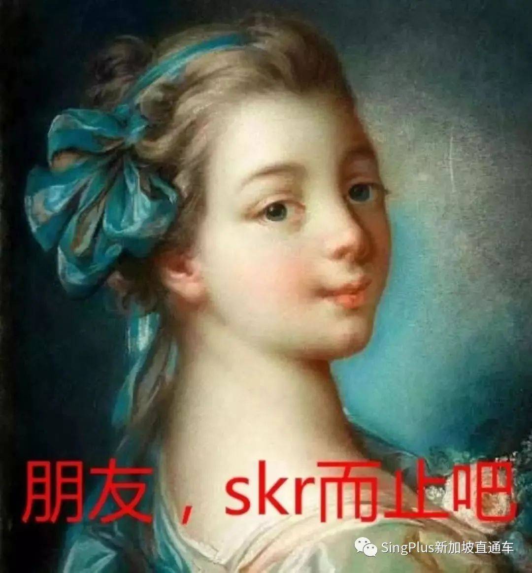 《新加坡高校留学生图鉴》