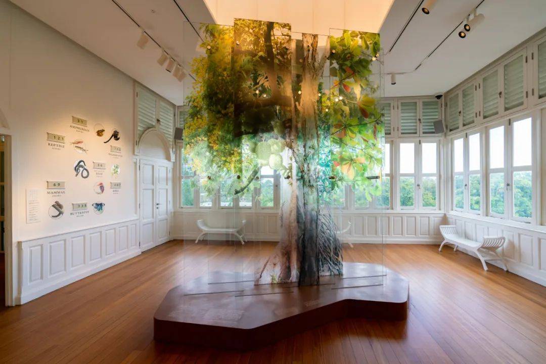 新加坡植物園3月最新兒童樂園,你肯定沒去過!16大遊玩攻略,走起