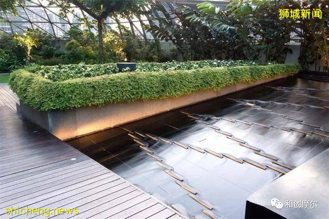 ION Orchard，領略新加坡頂級商業地標的魅力