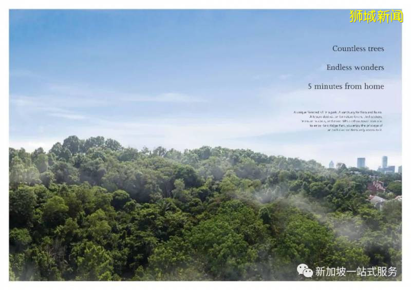 新加坡大學優勢和申請新