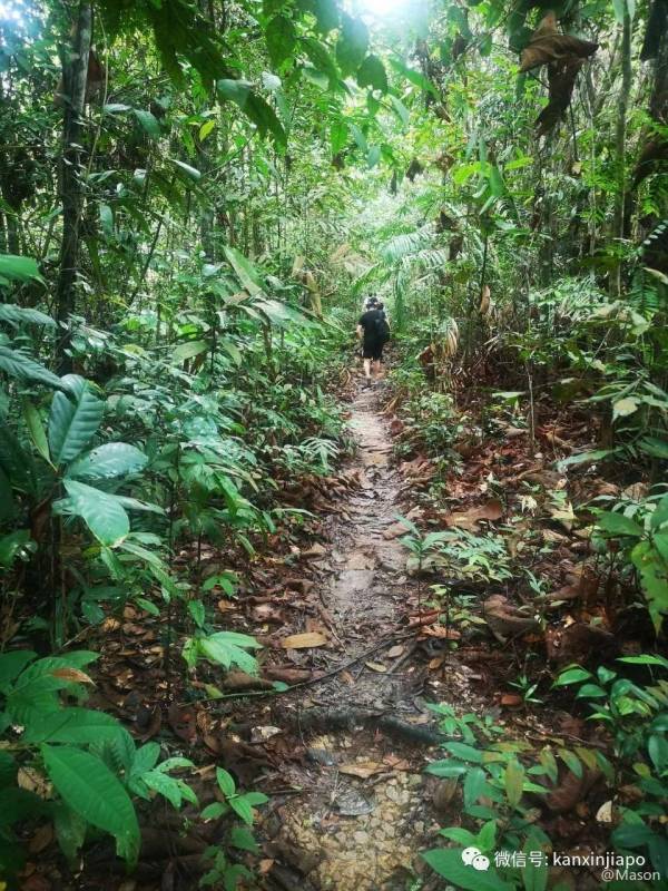 勇闯麦里芝被遗忘的神社,狂风暴雨下惊险求生