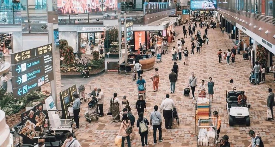 新增X例,累计X | 新加坡哪来的这么多输入病例?