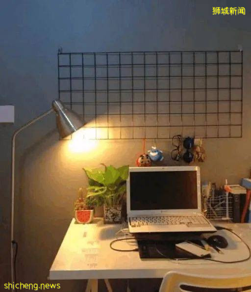 因疫情被困新加坡，歸國無望又遭電子詐騙，慘