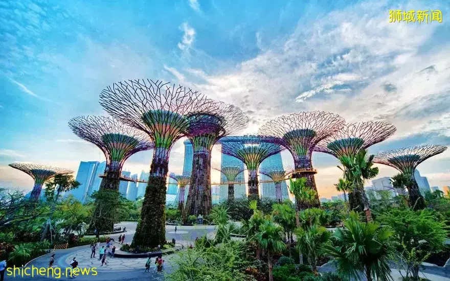 注意!忽视这几点,会被移民拒签