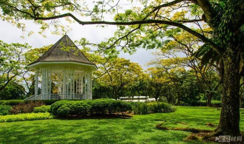 新加坡最好玩的公园,来和小伙伴徒步野餐吧