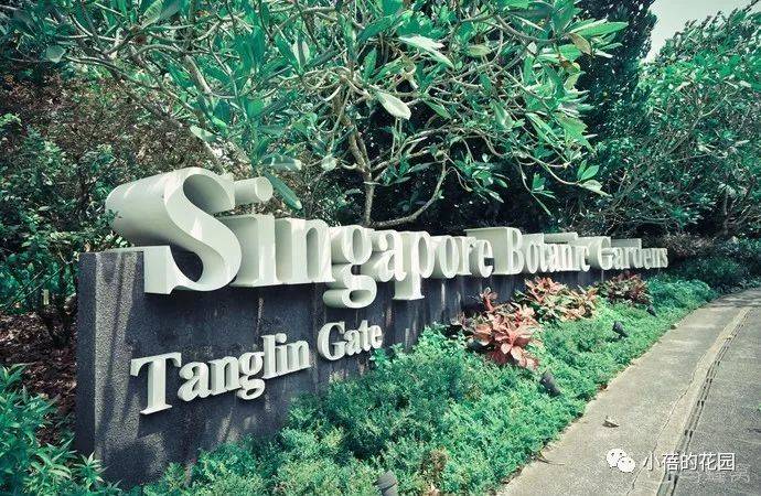 新加坡充电之旅 Part2 || 小蓓的花园