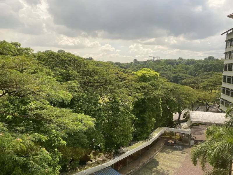 紀實!南洋理工大學留學生隔離全過程