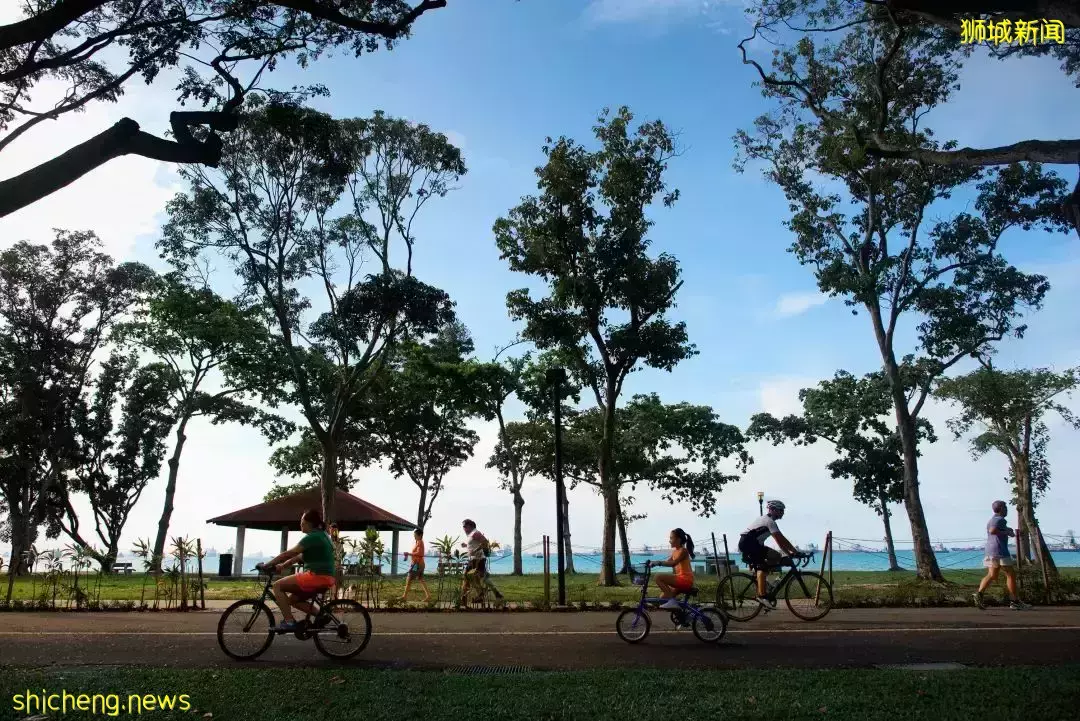 用网络热词打开狮城旅行,画风什么样