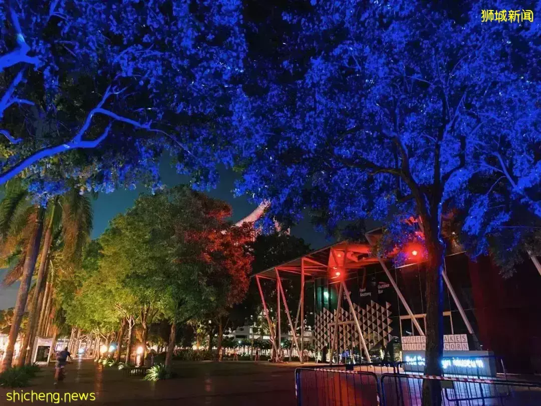 漫天星河洒落人间,新加坡滨海湾超美跨年灯展