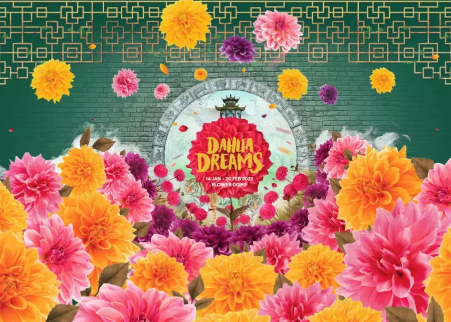 新加坡2022春節最好玩的20個活動都在這啦!插年花、海底下午茶、牛車水花燈展