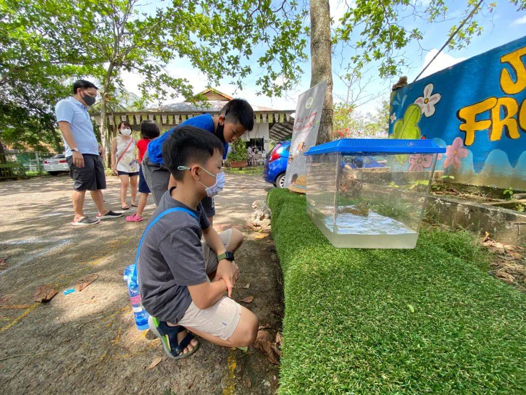 餵羊、擠奶、了解青蛙生長過程,新加坡的農場這麽牛