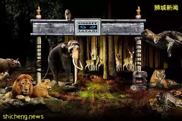 你有多了解新加坡呢？多得是你不知道的事