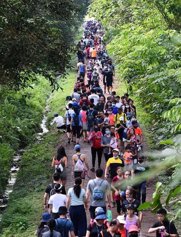 新加坡的網紅鐵軌，你打卡了嗎