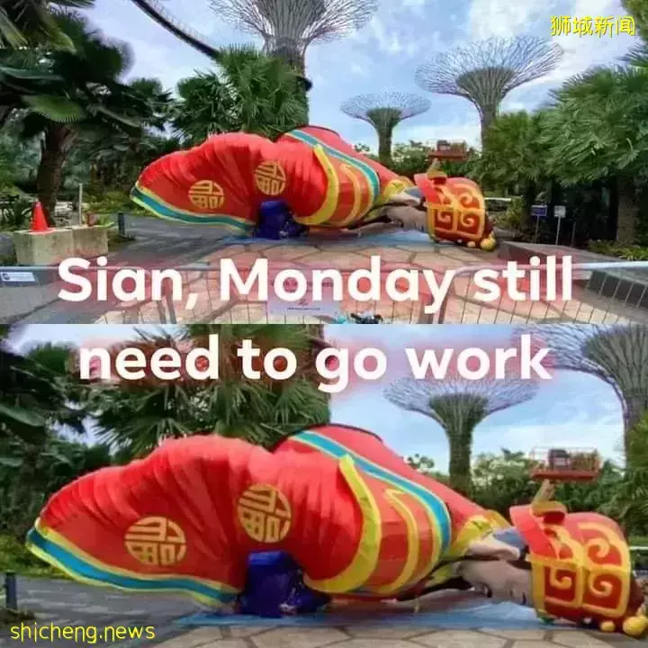 8人平分1900萬新幣！新加坡全民瘋狂買彩票、鋪滿整個房間！他連中頭獎+二獎