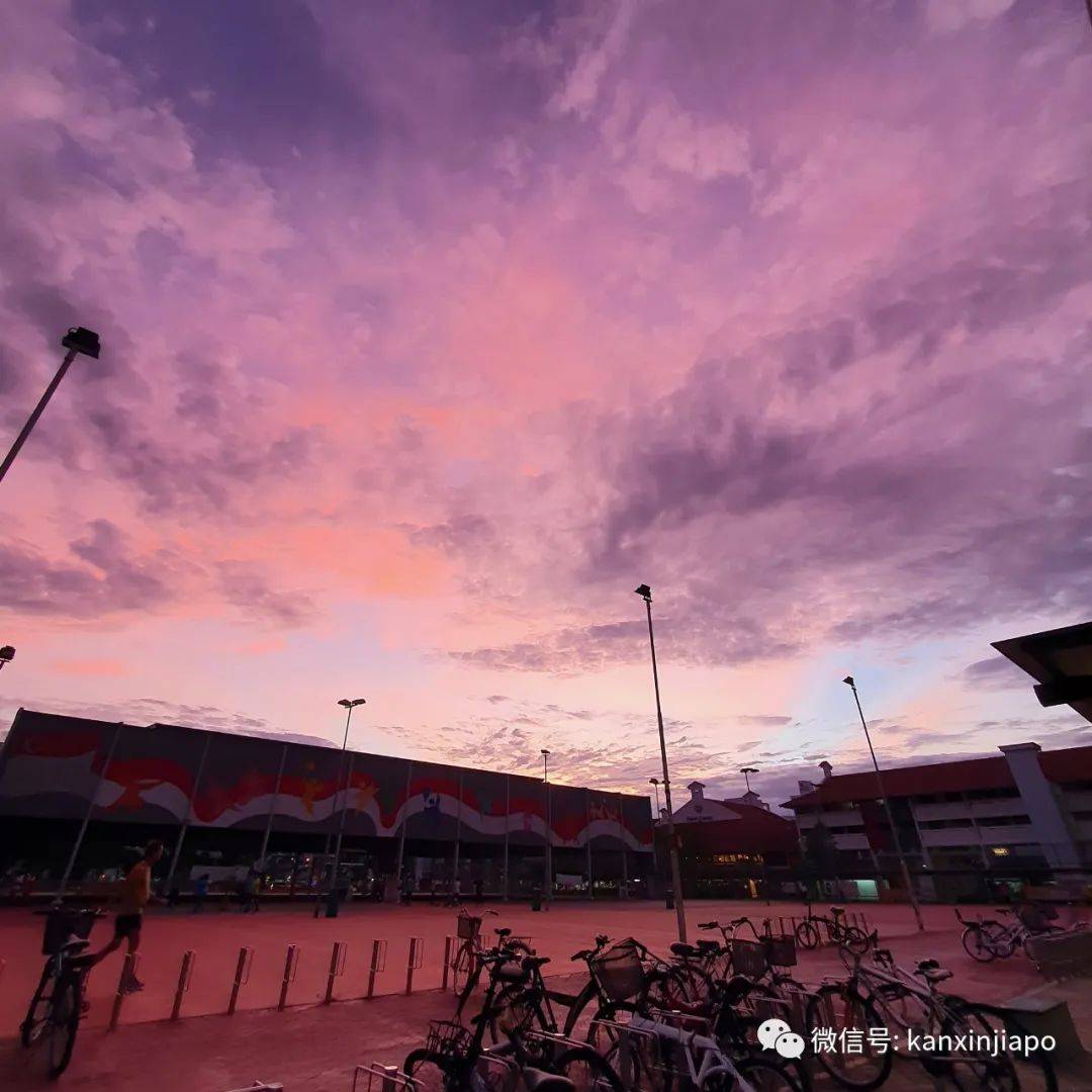 新加坡清晨出现粉紫色“神仙”天空！大波美图惊艳全岛