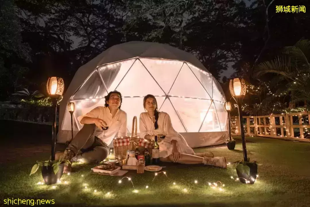 夜宿新加坡动物园!森林小屋用餐、睡圆顶帐篷、动物互动、海牛伴你入眠