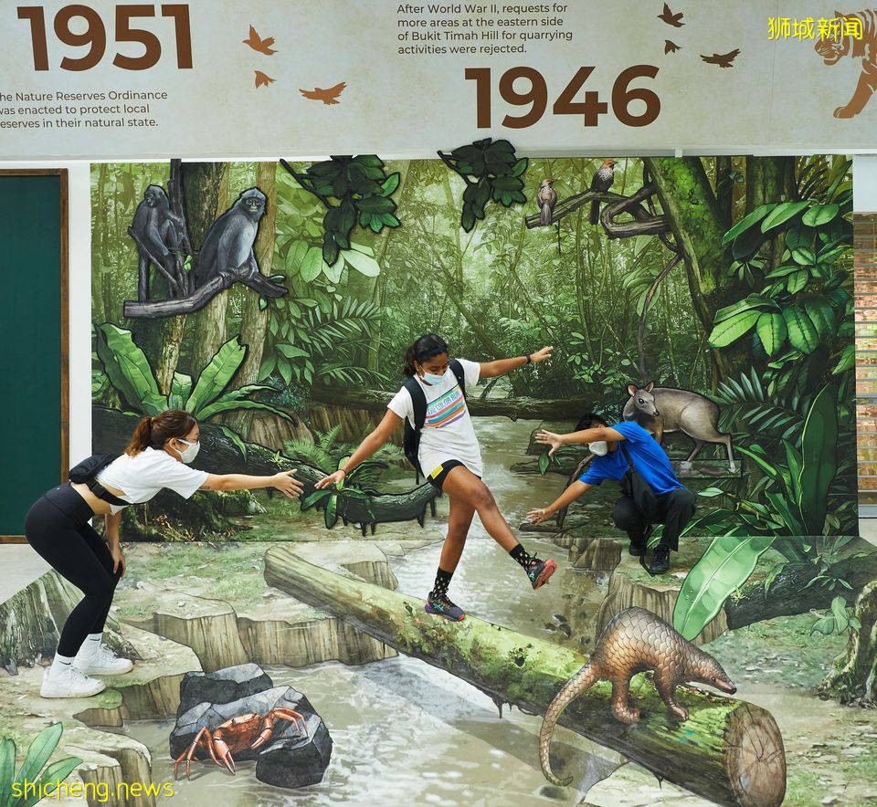 遛娃!徒步!燃烧卡路里~这个新加坡宝藏公园,翻新后更好玩