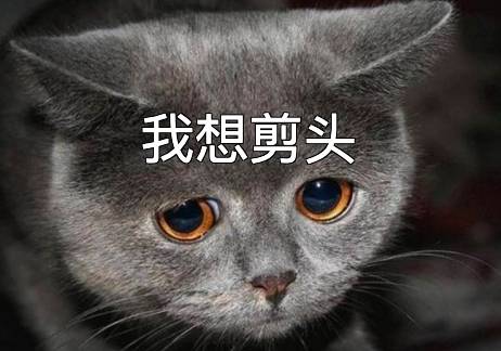 對新加坡Tony老師絕望了?8家靠譜理發店盤點,附理發常用英文