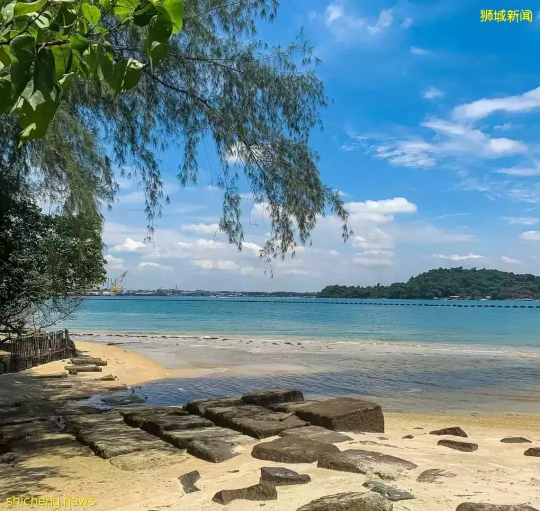 在新加坡的東北部,有個隱秘的小島!不用坐船,每天限時開放