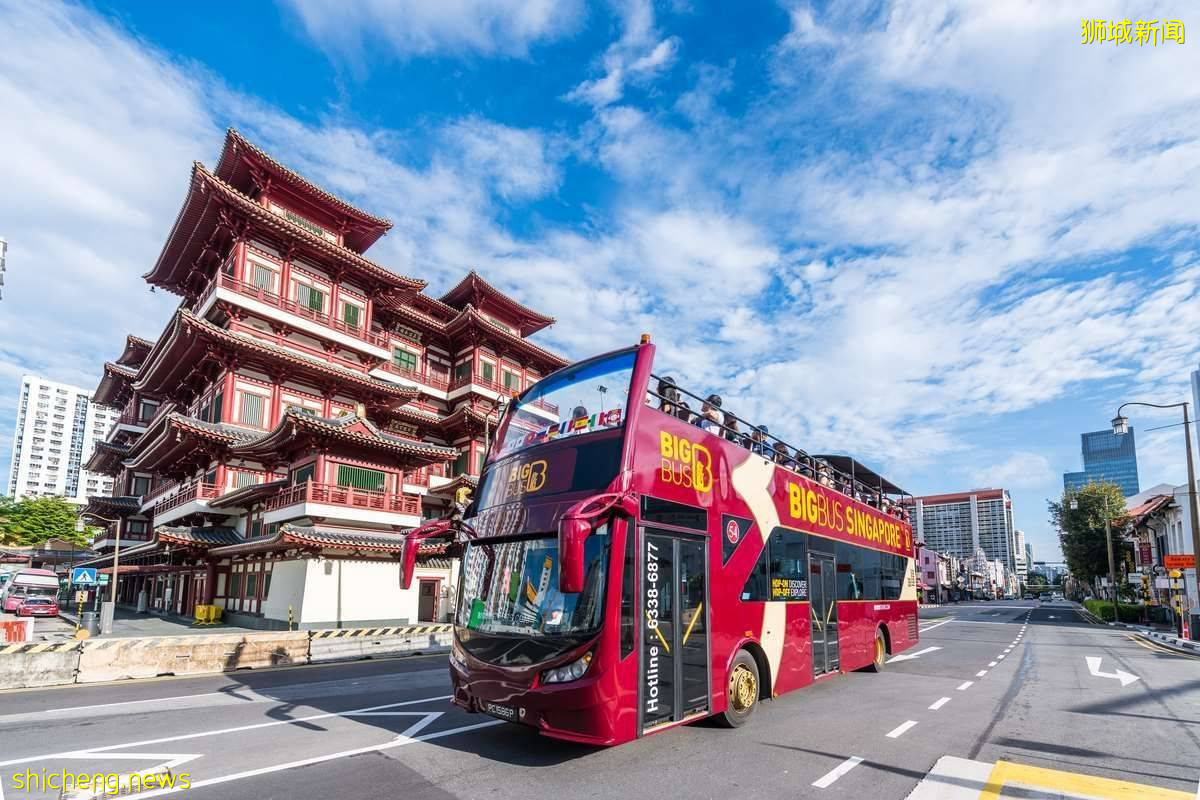 新加坡旅遊交通推薦：大巴士新加坡觀光之旅