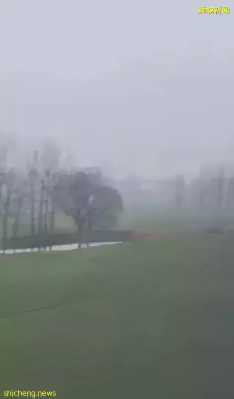 “这个春节,我终于从新加坡回到了中国”