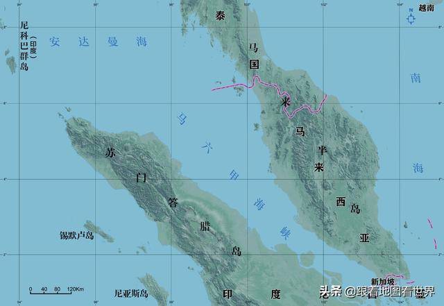 源自广东的南狮舞狮文化，是如何在新加坡生生不息的？