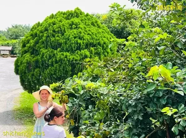 玩在狮城 新加坡海事局已批准往返渡轮服务! Johor首选度假胜地Desaru一日游攻略