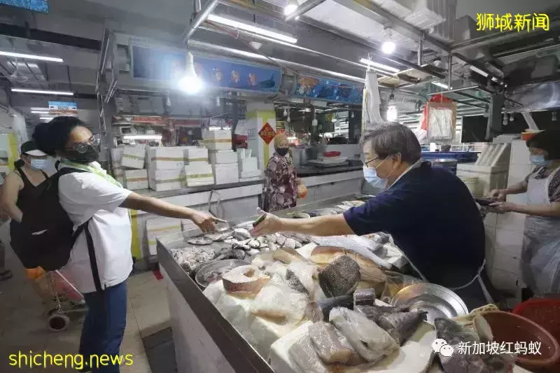 新加坡竟有26%海产被贴错标签 鲨鱼被标成海鲂、齿鱼标为鳕鱼