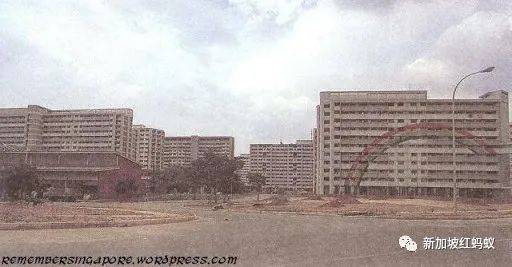 如彩虹般夢幻的新加坡　你可曾與之不期而遇