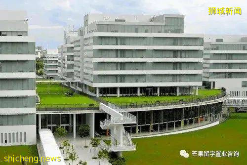 关于新加坡理工学院，你知道的太少了