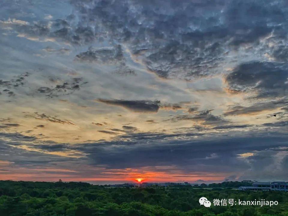新加坡清晨出現粉紫色“神仙”天空!大波美圖驚豔全島