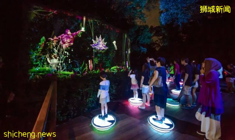 新加坡動物園沉浸式多媒體夜行體驗“RAINFOREST LUMINA”|CAAPA周末分享!