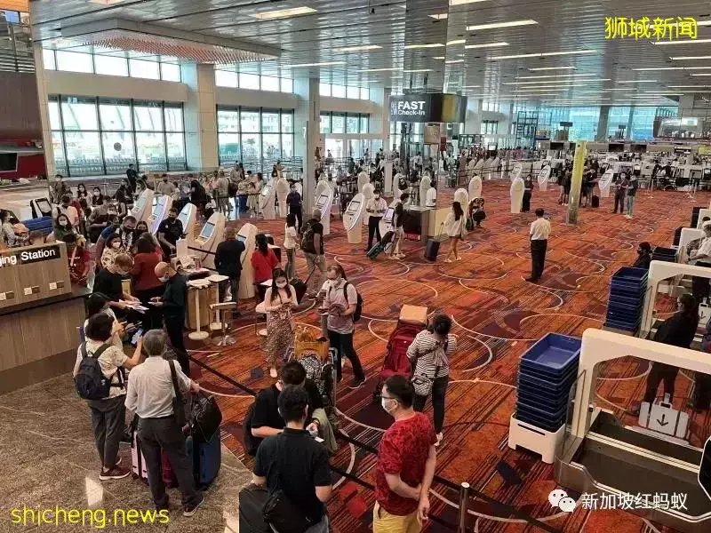 6月学校假期来临　出国旅游应该注意哪些事项