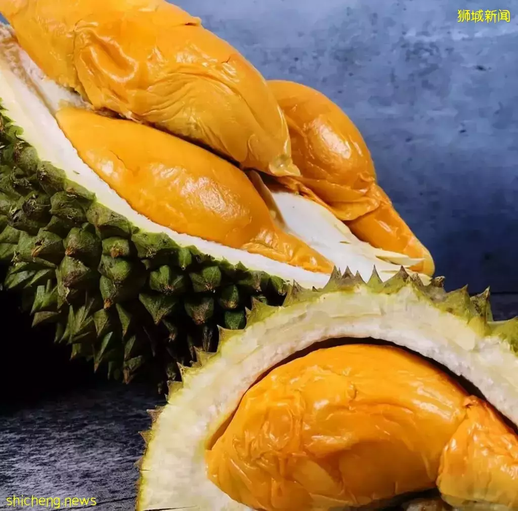 因爲減産,都漲價了!新加坡最火的11種榴梿價格表出爐