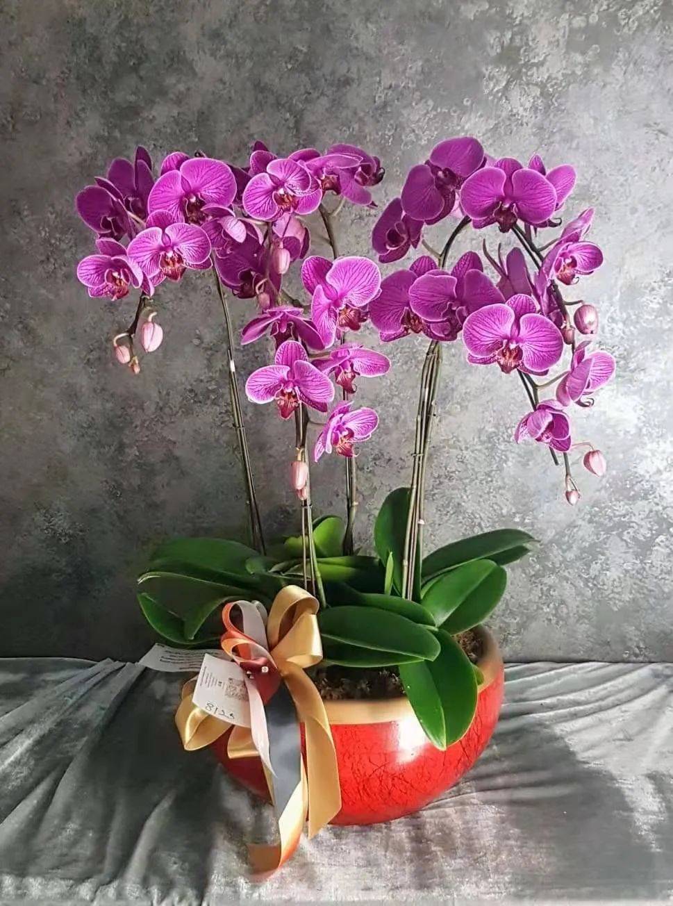 叮咚!你有一個情人節蛋糕請簽收!比玫瑰還好看的花也來了