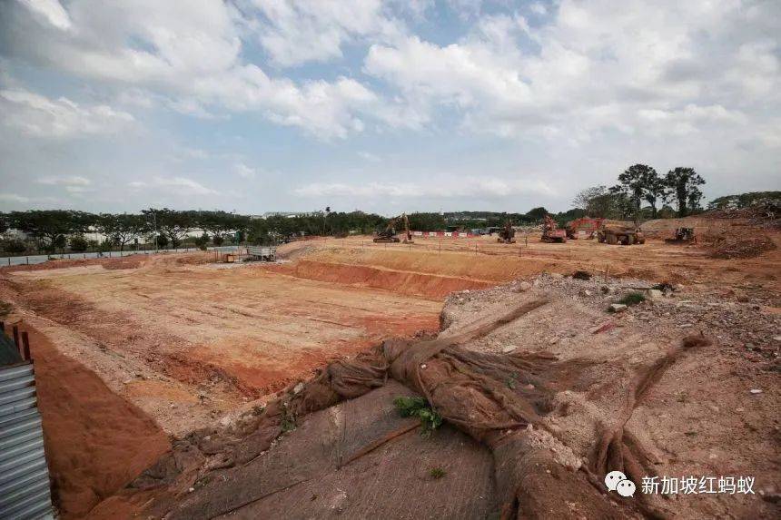 克蘭芝林地事件原來有這些內幕　裕廊集團：絕不逃避責任