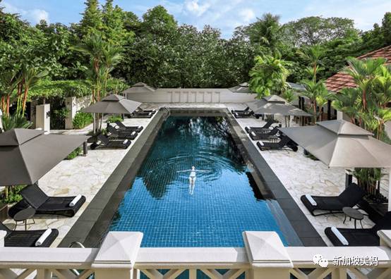 跟孕期腰酸背痛说拜拜!新加坡孕妇也能做的按摩都在这了