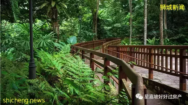 新加坡房市持续火热，最新销量上涨9%！李嘉诚也来这里投资了