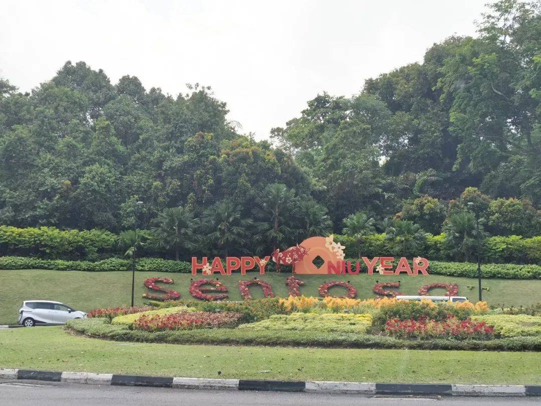 吃土也要去!1家3口嗨翻新加坡五星級酒店,私人沙灘、樹屋、兒童俱樂部…太值了