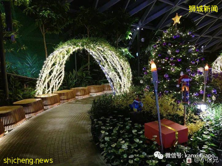 趣探樟宜奇妙之旅,吃喝玩乐一整天