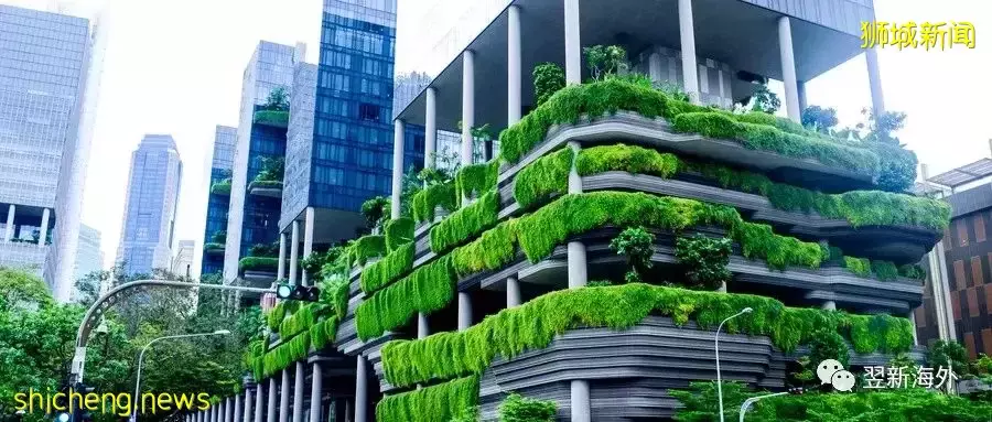 干货整理 新加坡移民的几种途径，再不规划就晚了