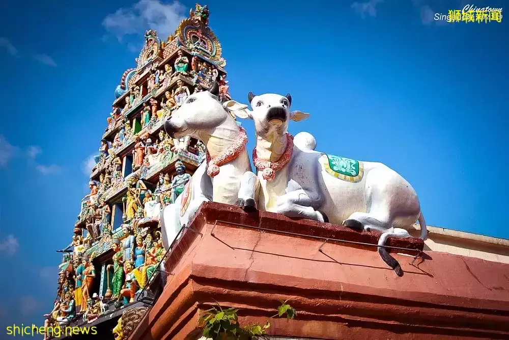 又是想去新加坡旅游的第N+1天！先收藏这份‘新加坡旅行攻略’来解馋吧