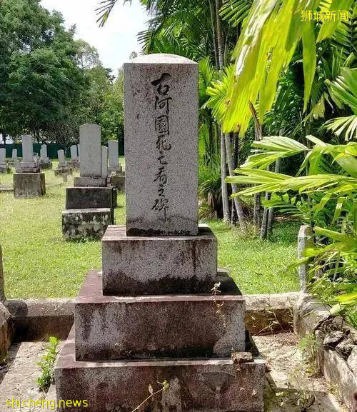 新加坡24个冷知识，你知道几个？带你了解“开放”的新加坡