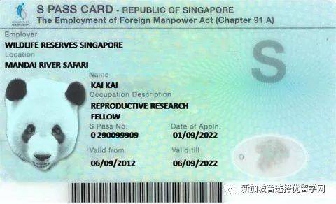 從WP到PR,來自上海的她是怎麽在新加坡逆襲的!