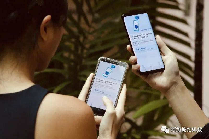 新加坡版的追踪神器,终于在国际上争回一口气