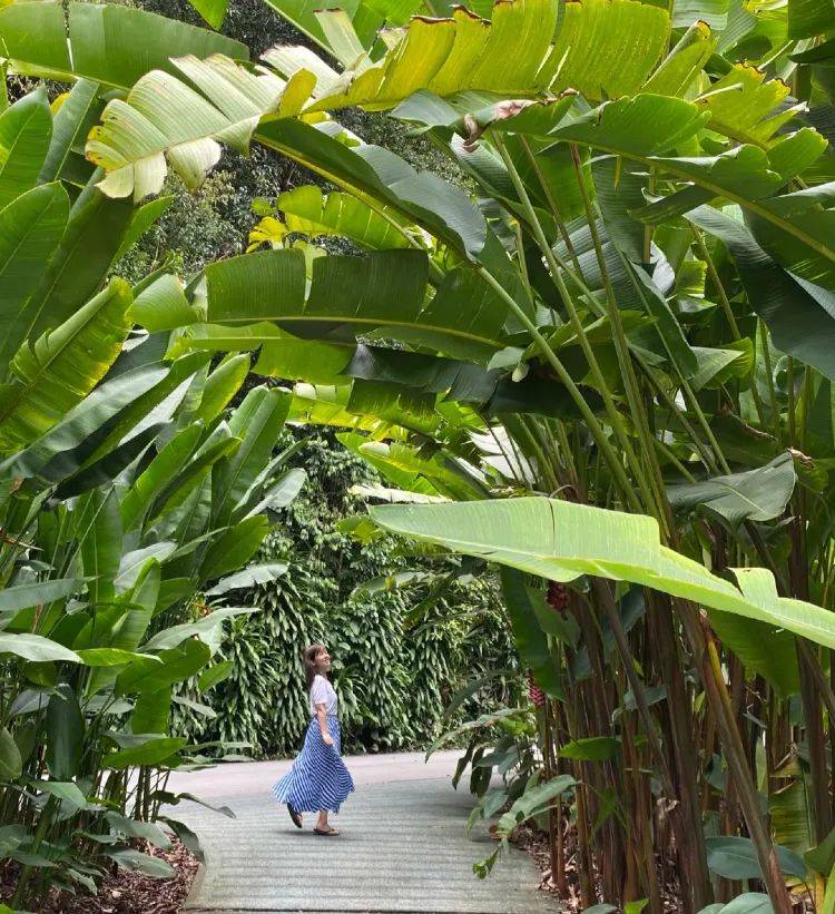 在CBD也可以擁抱綠色自然——細數新加坡那些鬧中取靜的Secret Garden